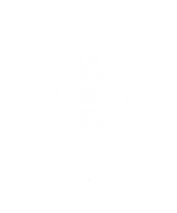 Shield-shaped emblem with a central microchip and a lion logo, surrounded by circuit lines