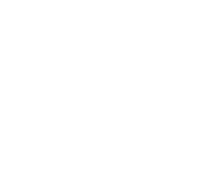White shield logo with a central microchip and a lion head, symbolizing cybersecurity.